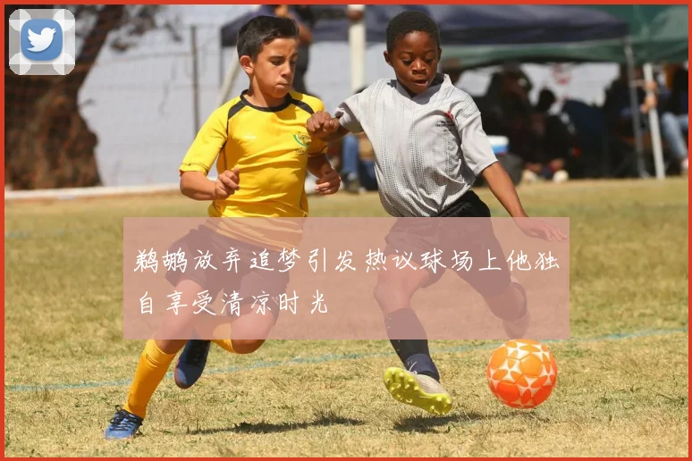 鹈鹕放弃追梦引发热议球场上他独自享受清凉时光